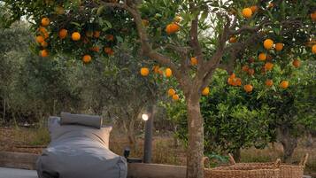 Ein Baum mit Orangen, ein graues Sofa und ein gewebter Korb auf einer Betonfläche.