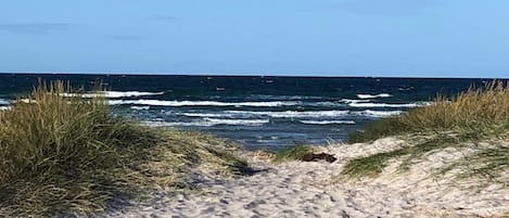 Plage à proximité