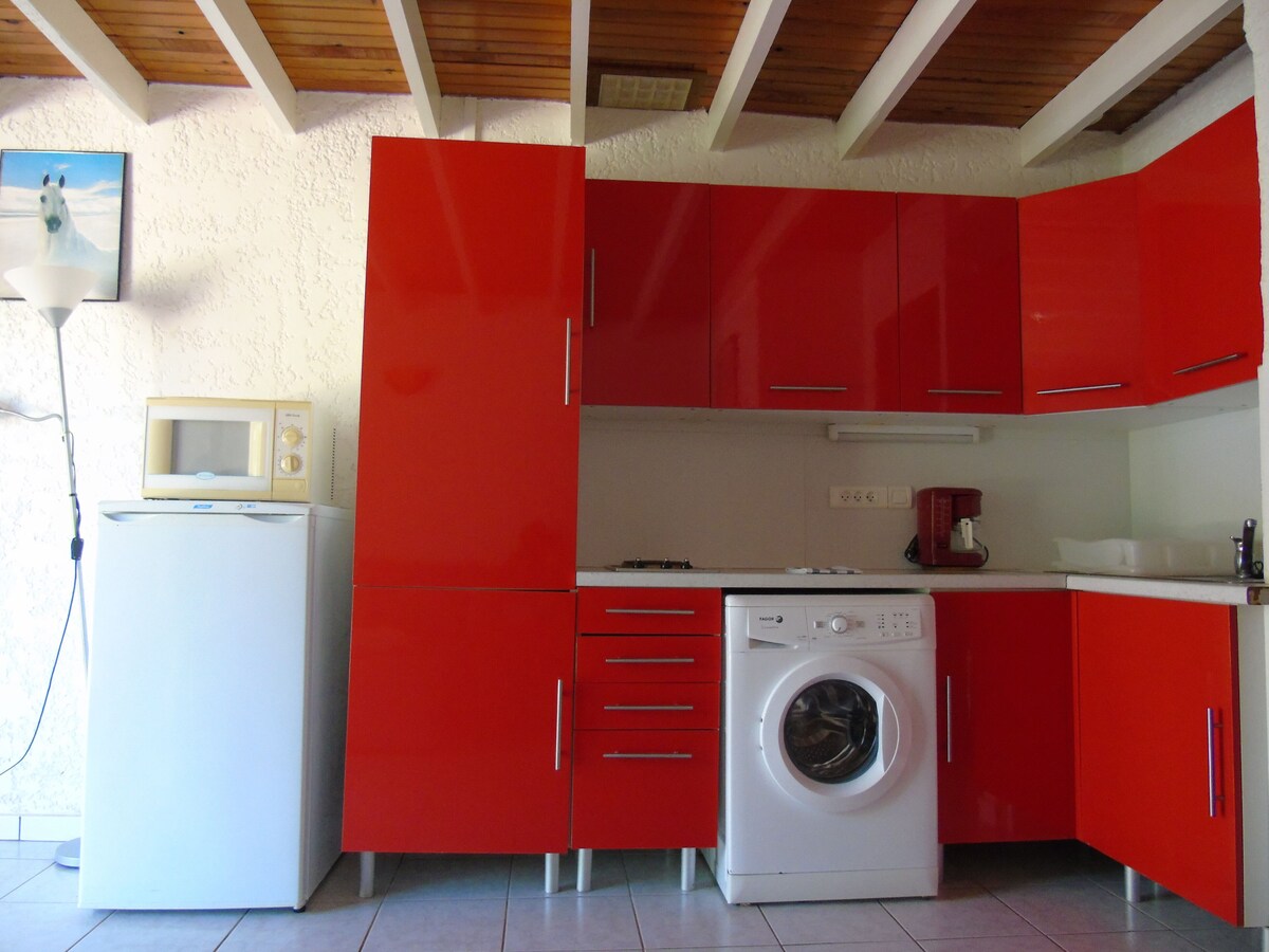 Imagen de perfil del propietario o de la propietaria