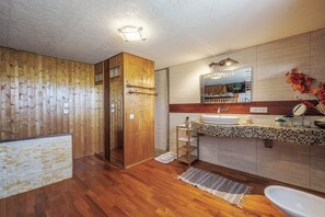 Combined shower/tub, hair dryer