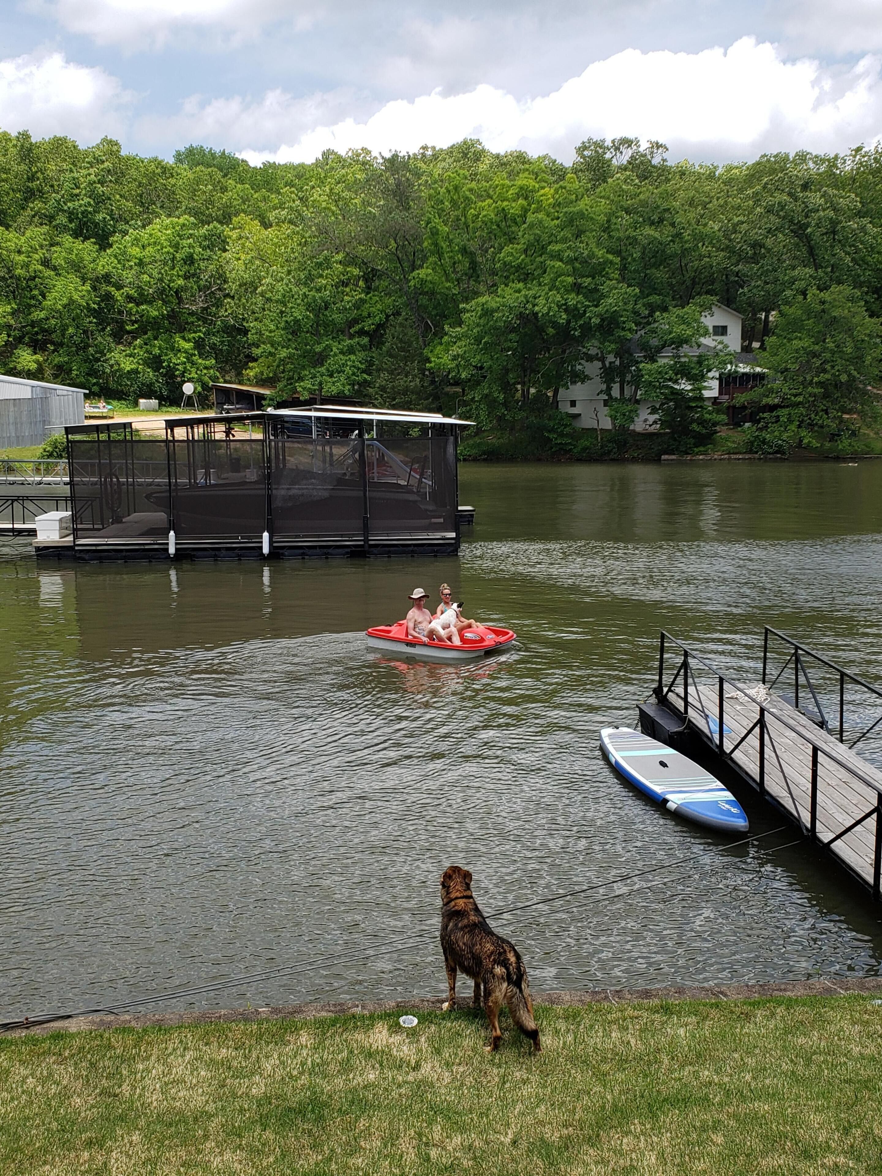 A dock with a boat, a floating structure, and a grassy area with a dog.