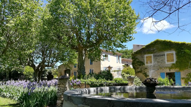 A garden with a fountain, stone walls, and a large tree. - Charming cottage with pool, fountains, mill, park and plane trees (Apt)