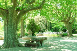 Un jardin paisible avec une fontaine en pierre, entouré d’arbres majestueux et d’une pelouse bien entretenue.