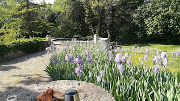 Terrein van de accommodatie