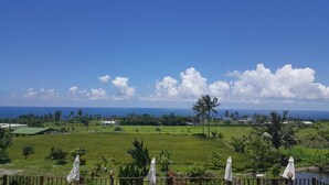Paesaggio verdeggiante e rigoglioso con vista sull'oceano e un cielo sereno.