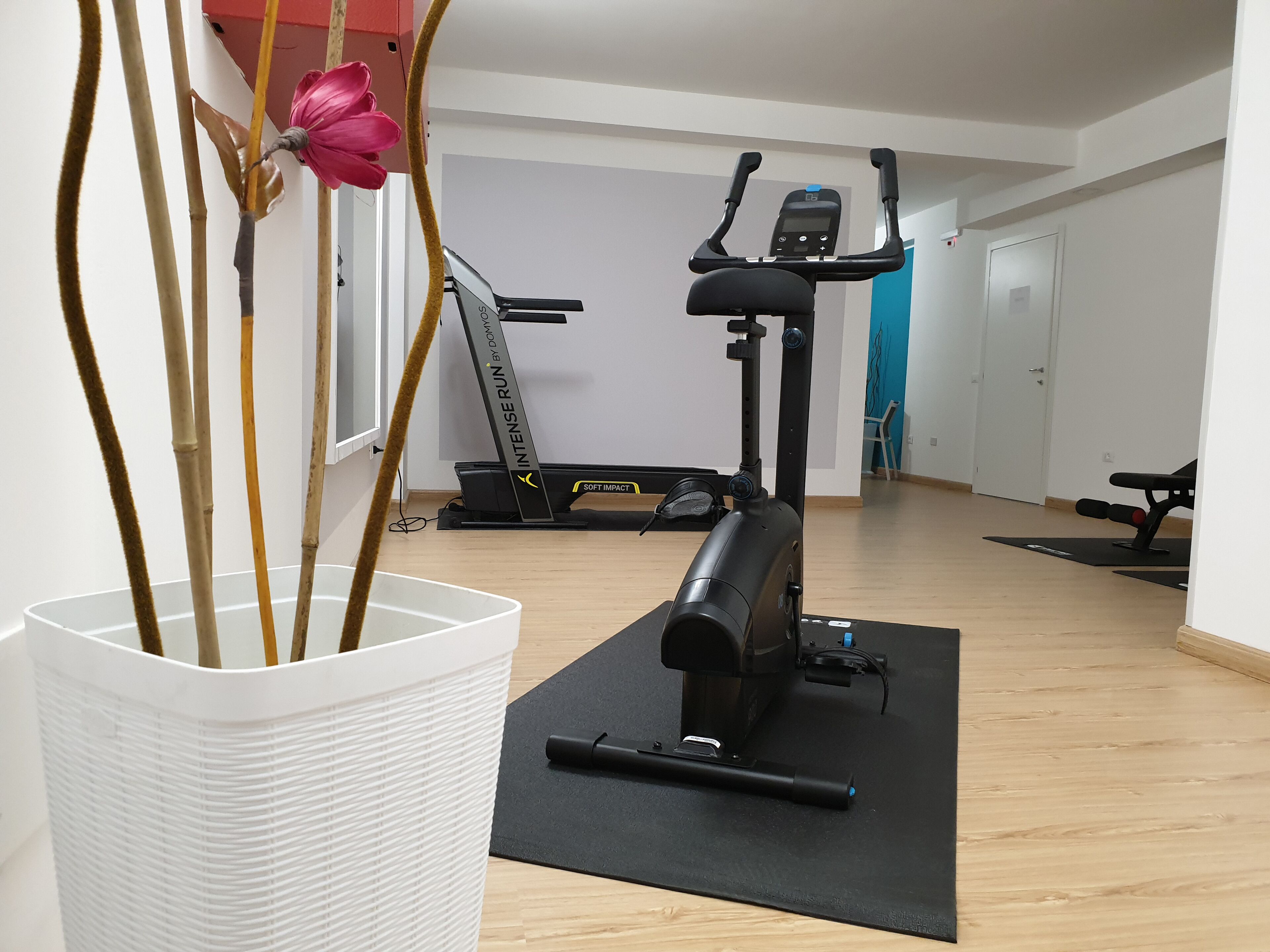 Un gimnasio en casa con equipo de ejercicio, una maceta blanca con plantas y suelo de madera.