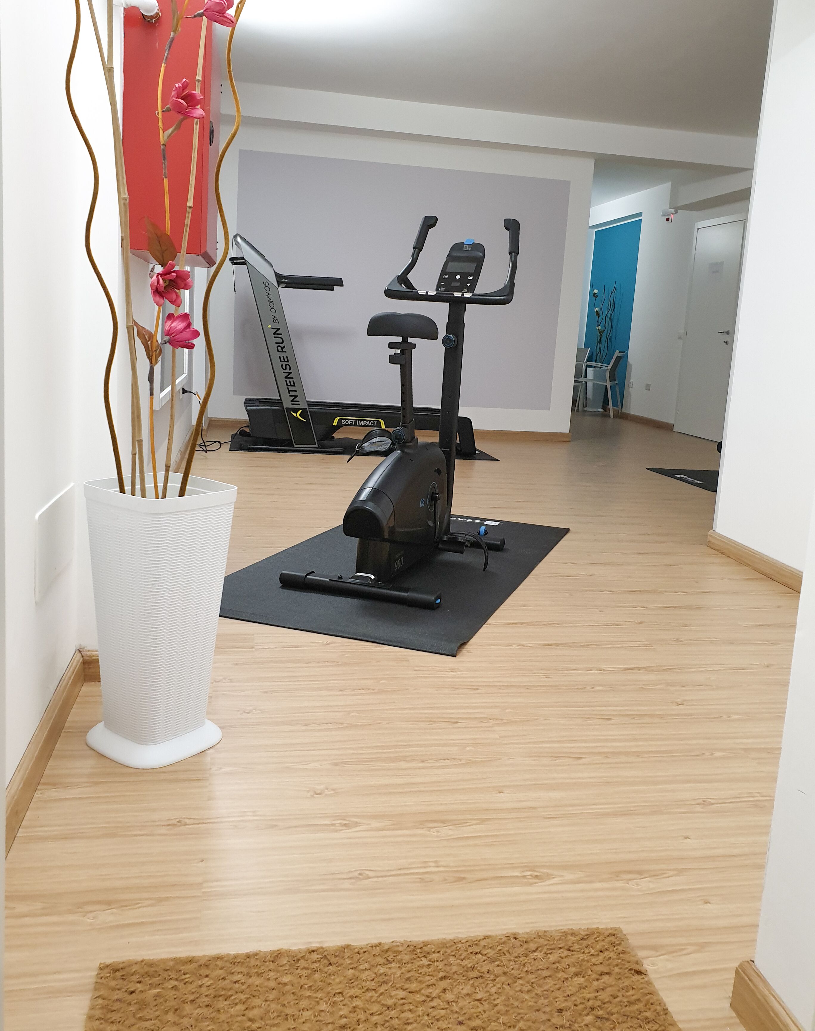Una palestra in casa con una cyclette e un tapis roulant, un vaso bianco con fiori e un pavimento in legno.
