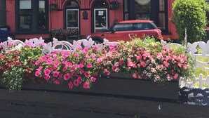 A multi-story building with a red facade and black trim, featuring large windows and a car parked in front. - Rose Lodge Guest House (Cork)
