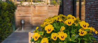 Vakantiewoning De Gulden Sleutels