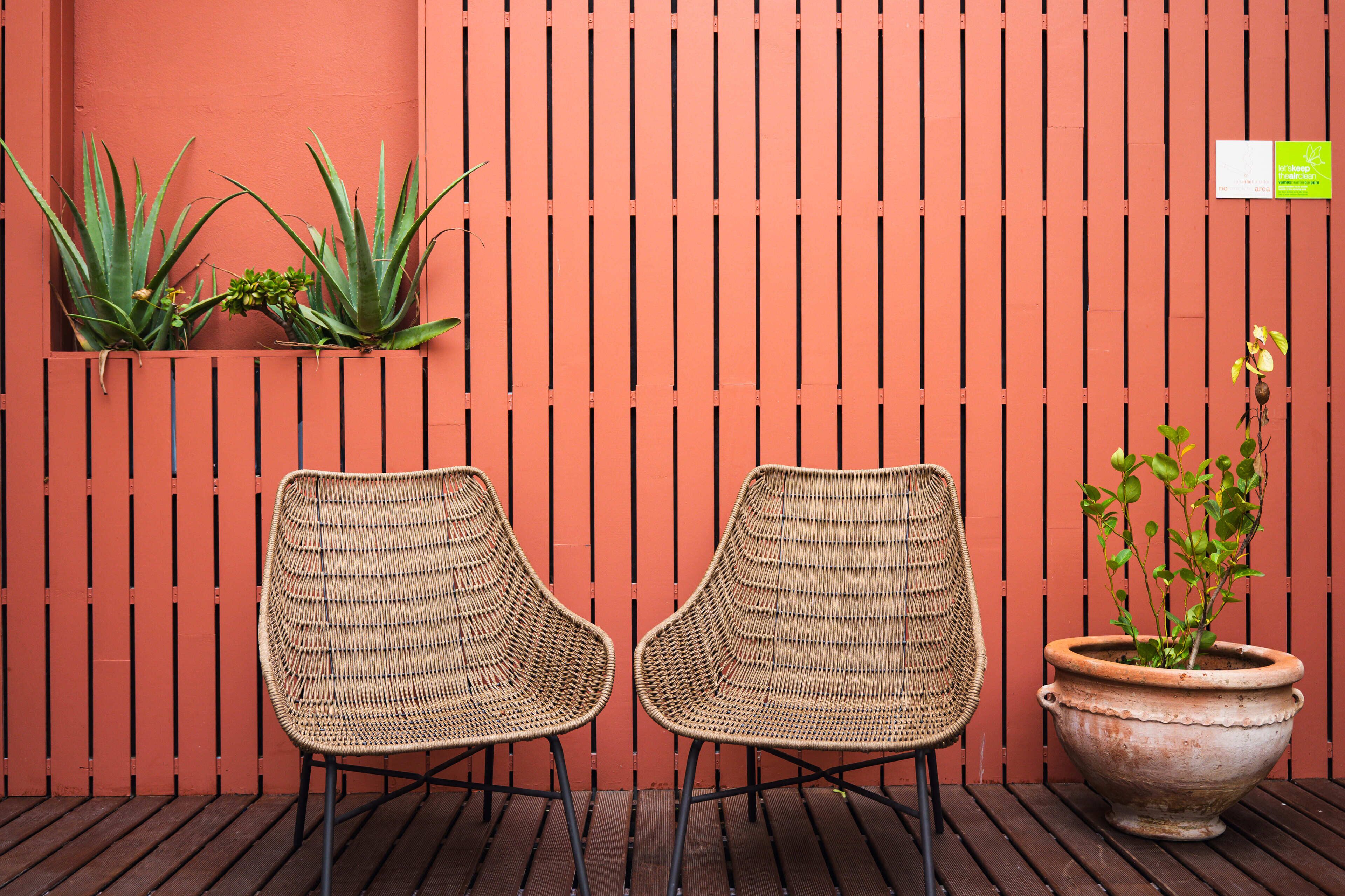 Two wicker chairs, a potted plant, and a vertical slatted wall.