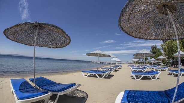 Une plage bordée de rangées de chaises longues bleues et de parasols en osier.