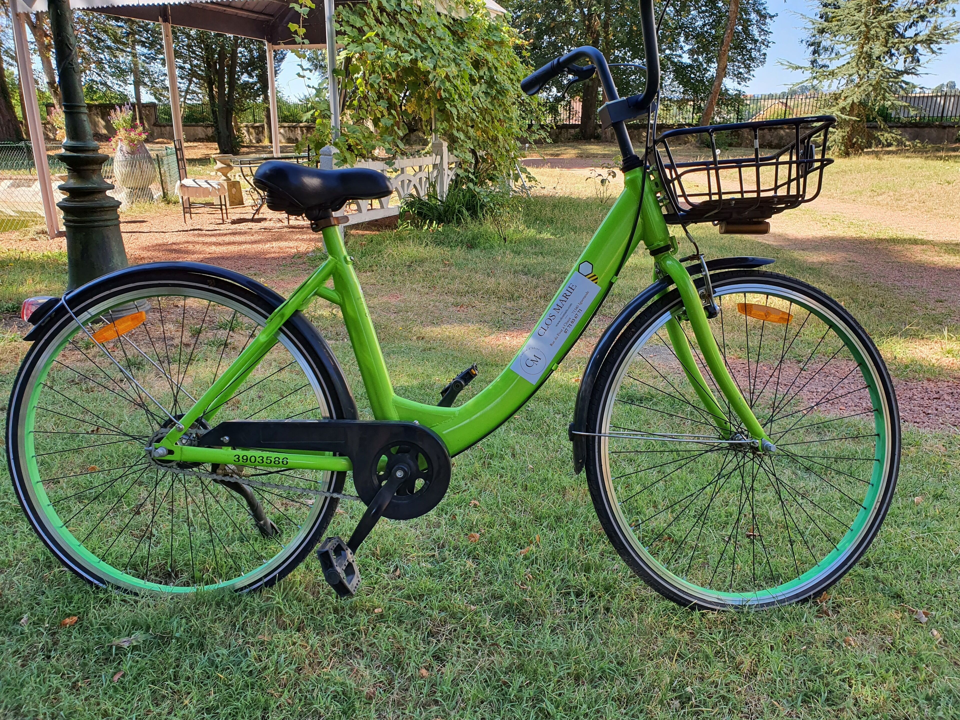 A green bicycle with a basket, parked on grass.