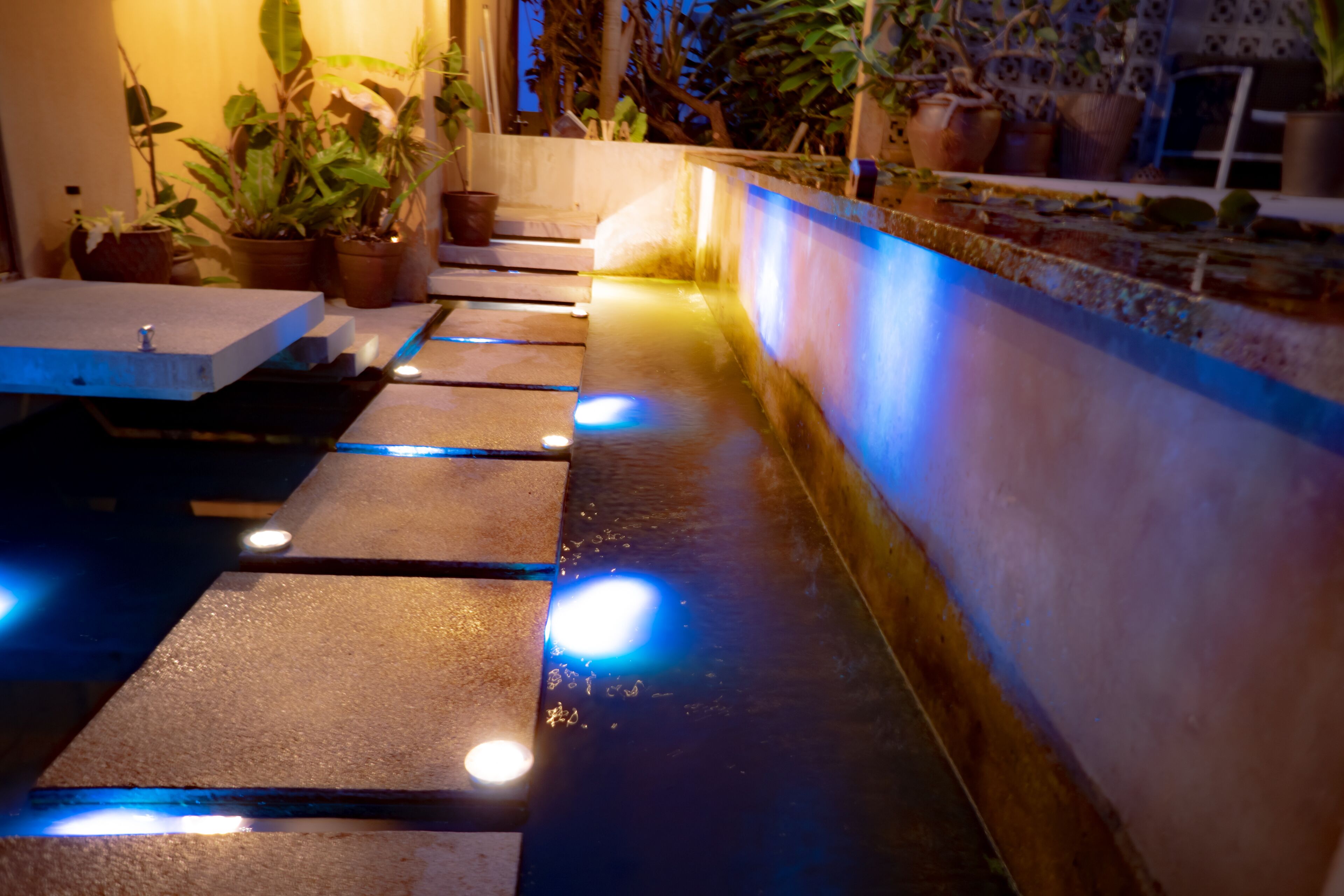 A narrow, wet pathway with steps leading to a higher level, surrounded by potted plants and a tiled wall.