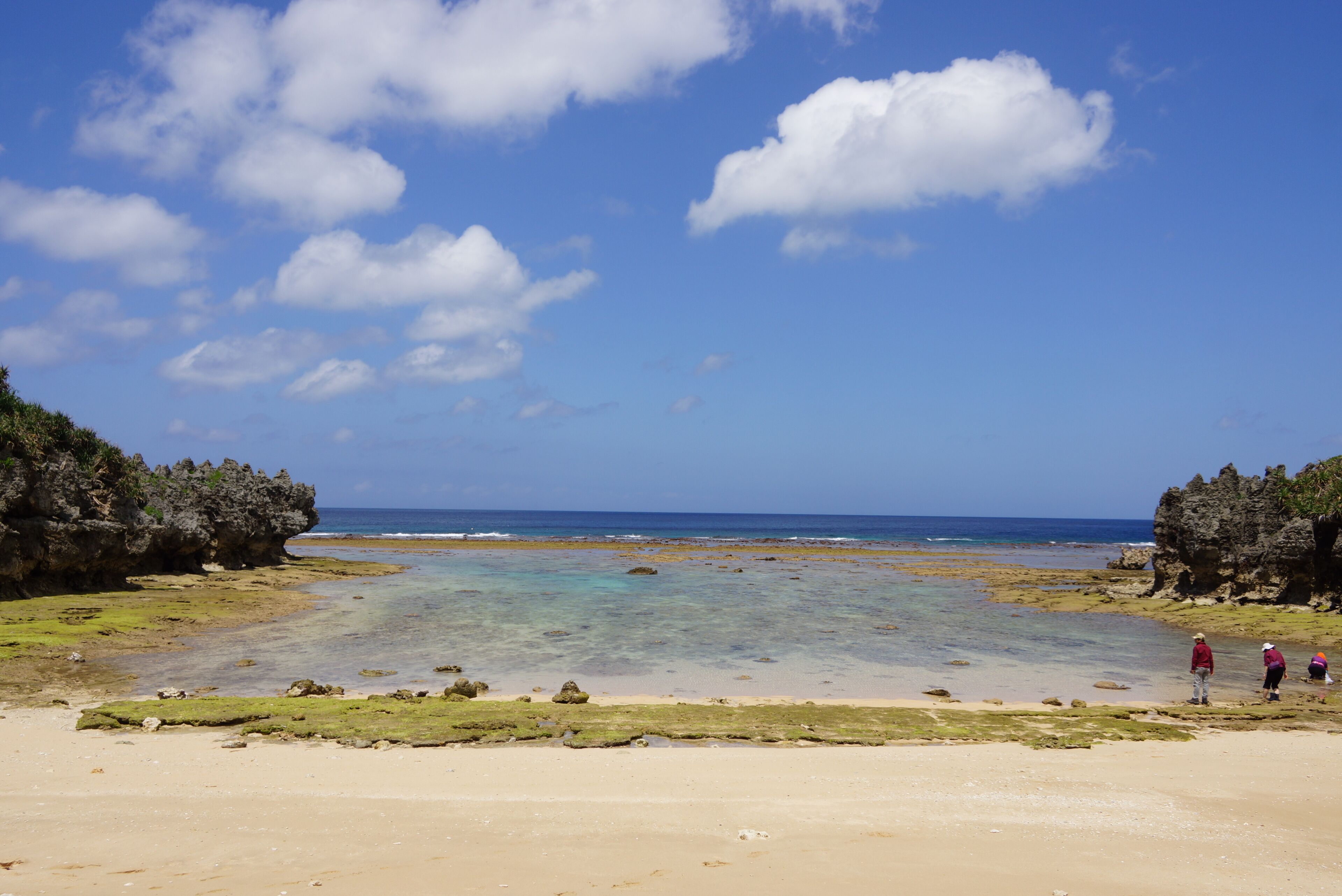 Beach nearby, white sand, free beach shuttle, beach umbrellas