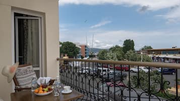 Terras