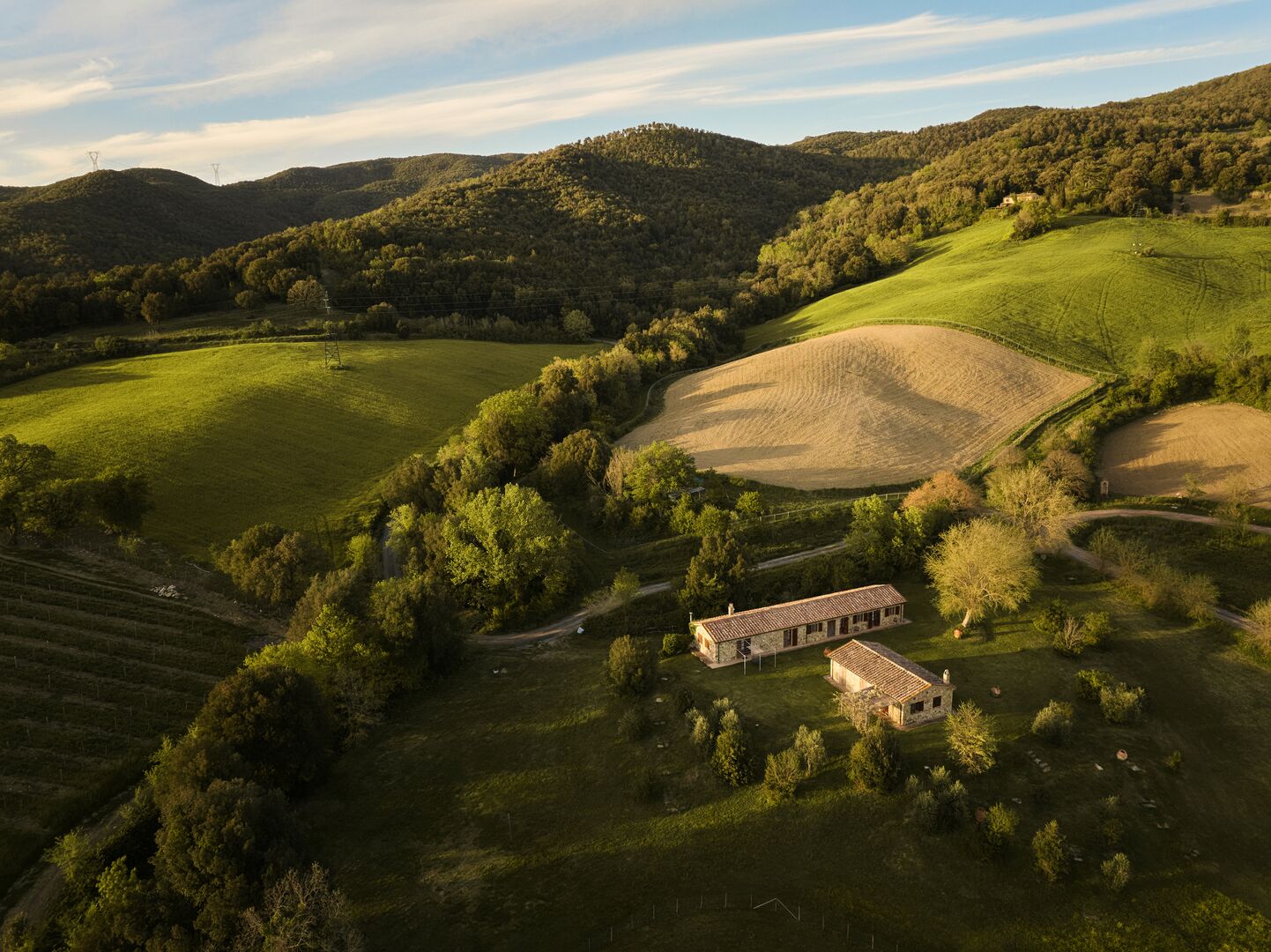 A rural landscape with rolling hills, a small house surrounded by trees, and fields.