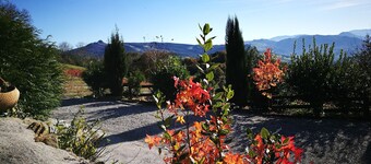EL BOSQUE ENCANTADO CANTABRIA