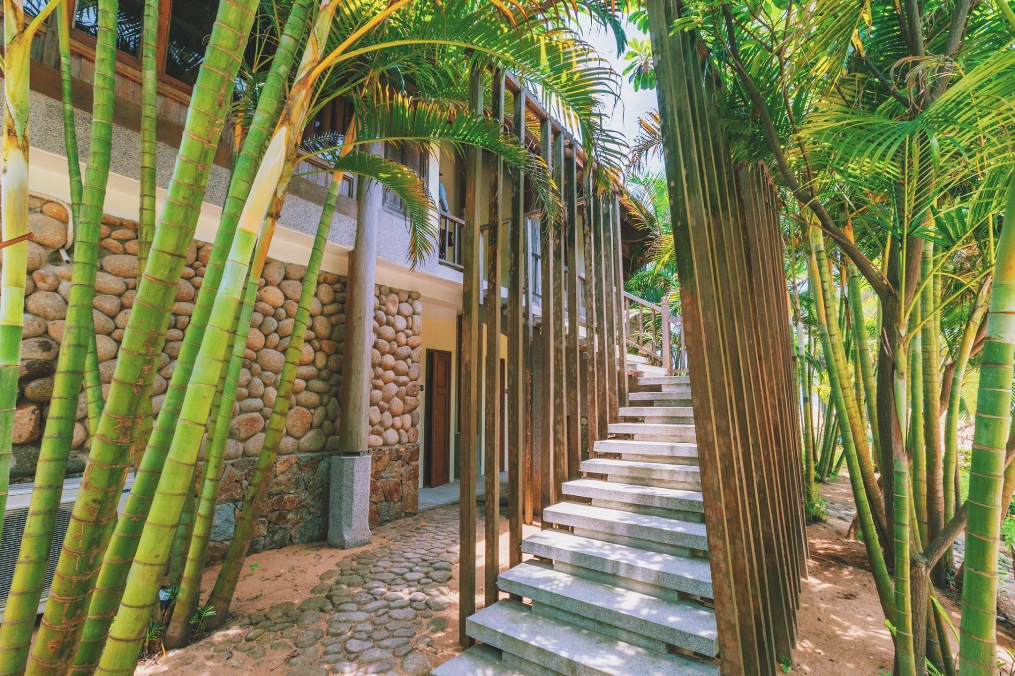 A stone pathway leading to a building with a bamboo fence and a stone wall.