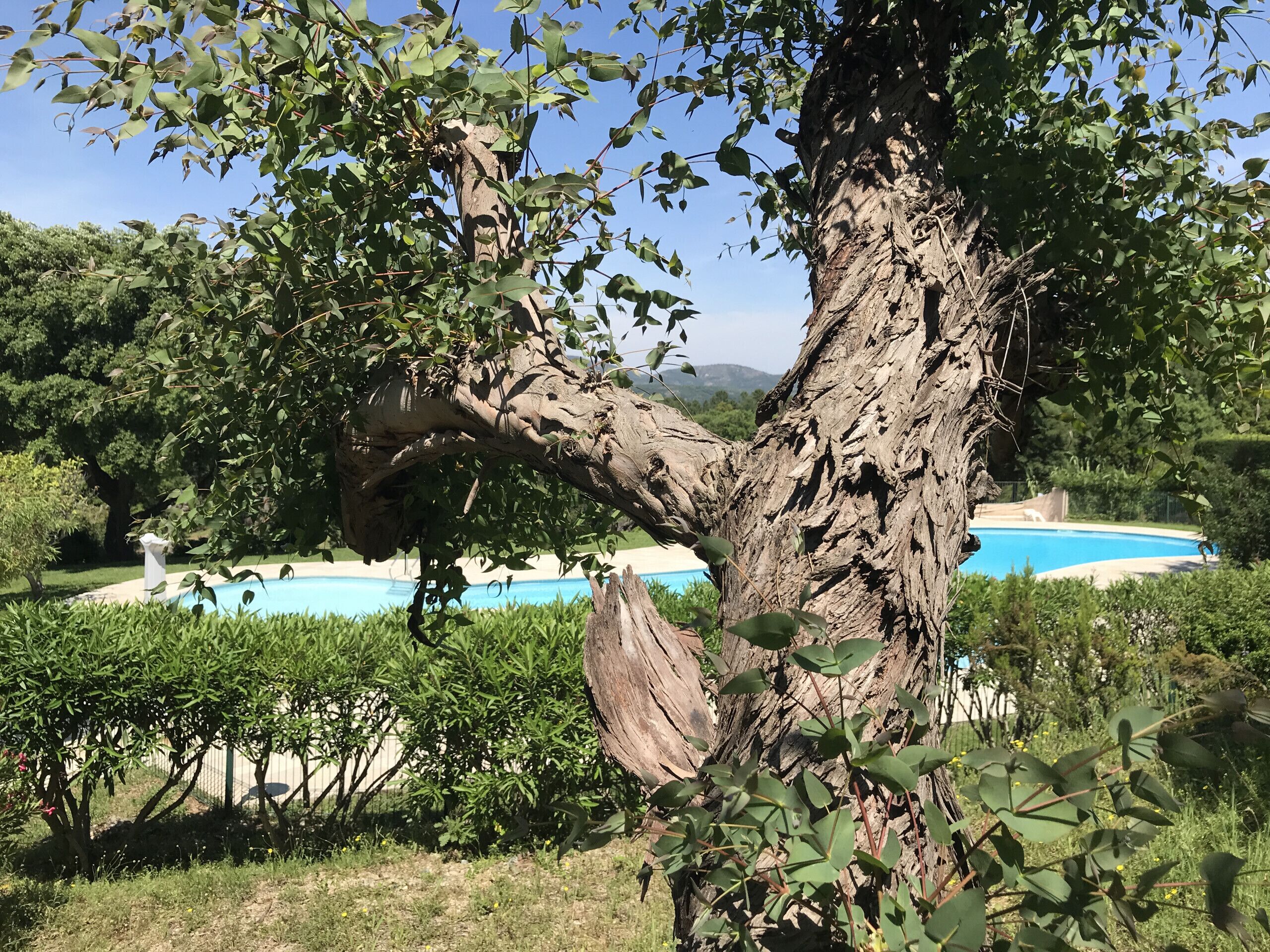 Terrain de l’hébergement 