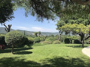 A well-maintained garden with various trees and shrubs, a clear sky, and a distant view of hills.
