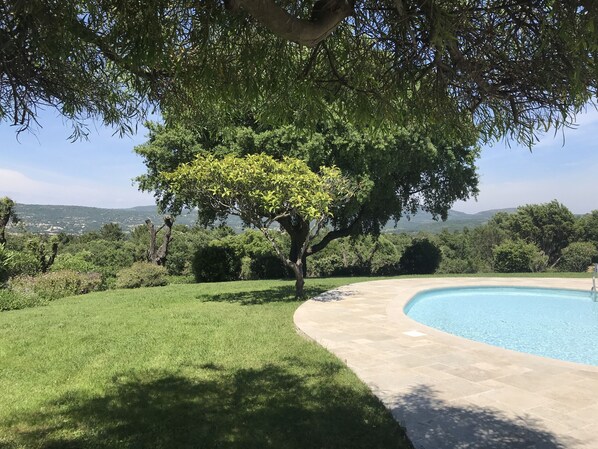 A swimming pool with a curved edge, surrounded by a well-maintained lawn and trees.