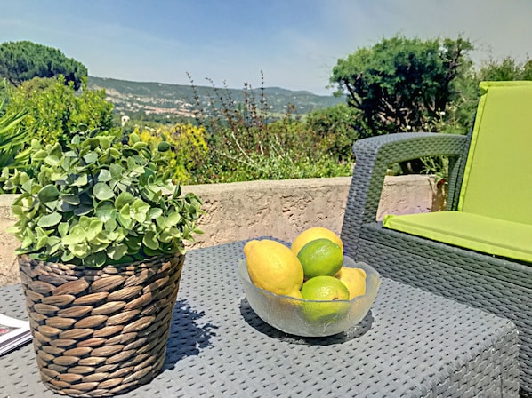 A wicker pot with green foliage, a clear glass bowl with lemons and limes, and a metal table outdoors with a view of hills and trees.