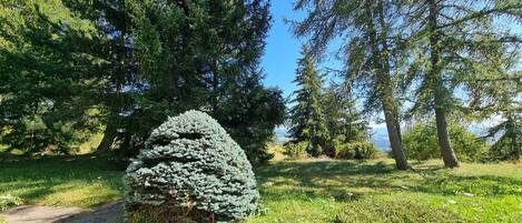 Terrain de lâhĂ©bergement