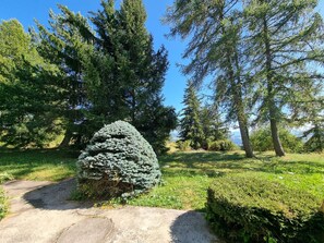 Un sentier qui traverse un parc, avec différents types d’arbres et une pelouse bien entretenue.