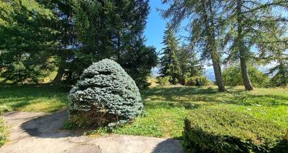 Chalet cosy à Saint-Michel-de-Chaillol, 10 personnes, 4 chambres, jardin, cheminée, animaux admis