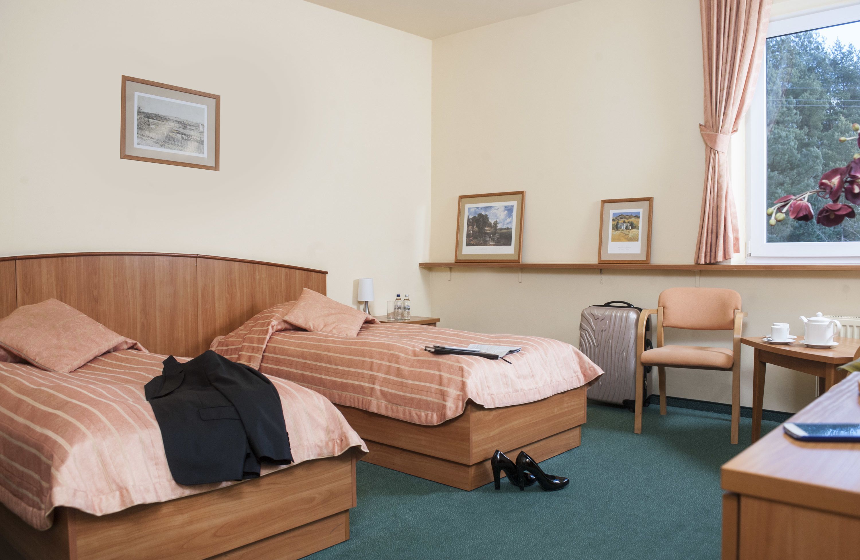 twin room | iron/ironing board, cots/infant beds, rollaway beds, free wifi