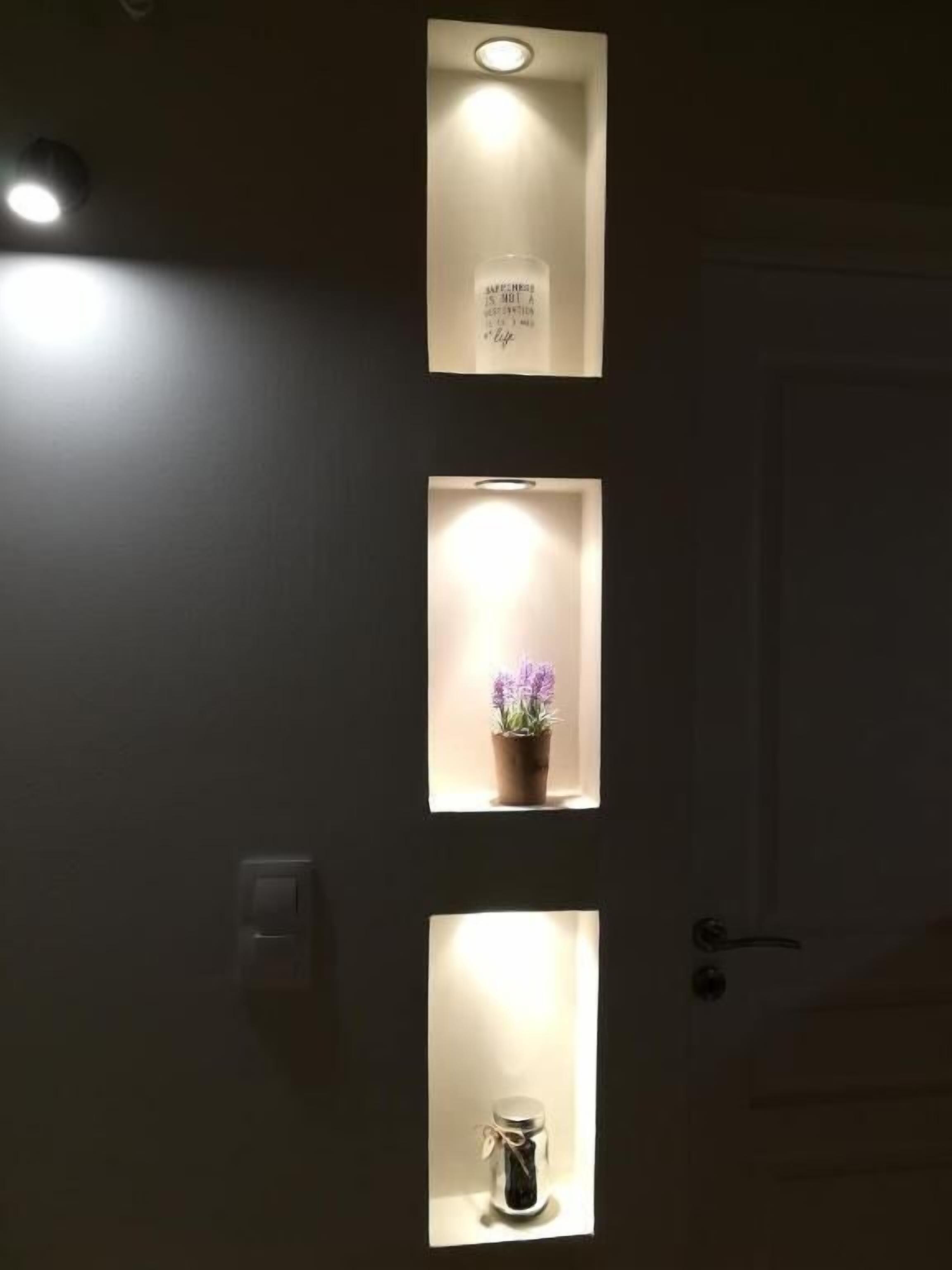 A wall with three illuminated panels: one with a sign, one with a potted plant, and one with a jar.