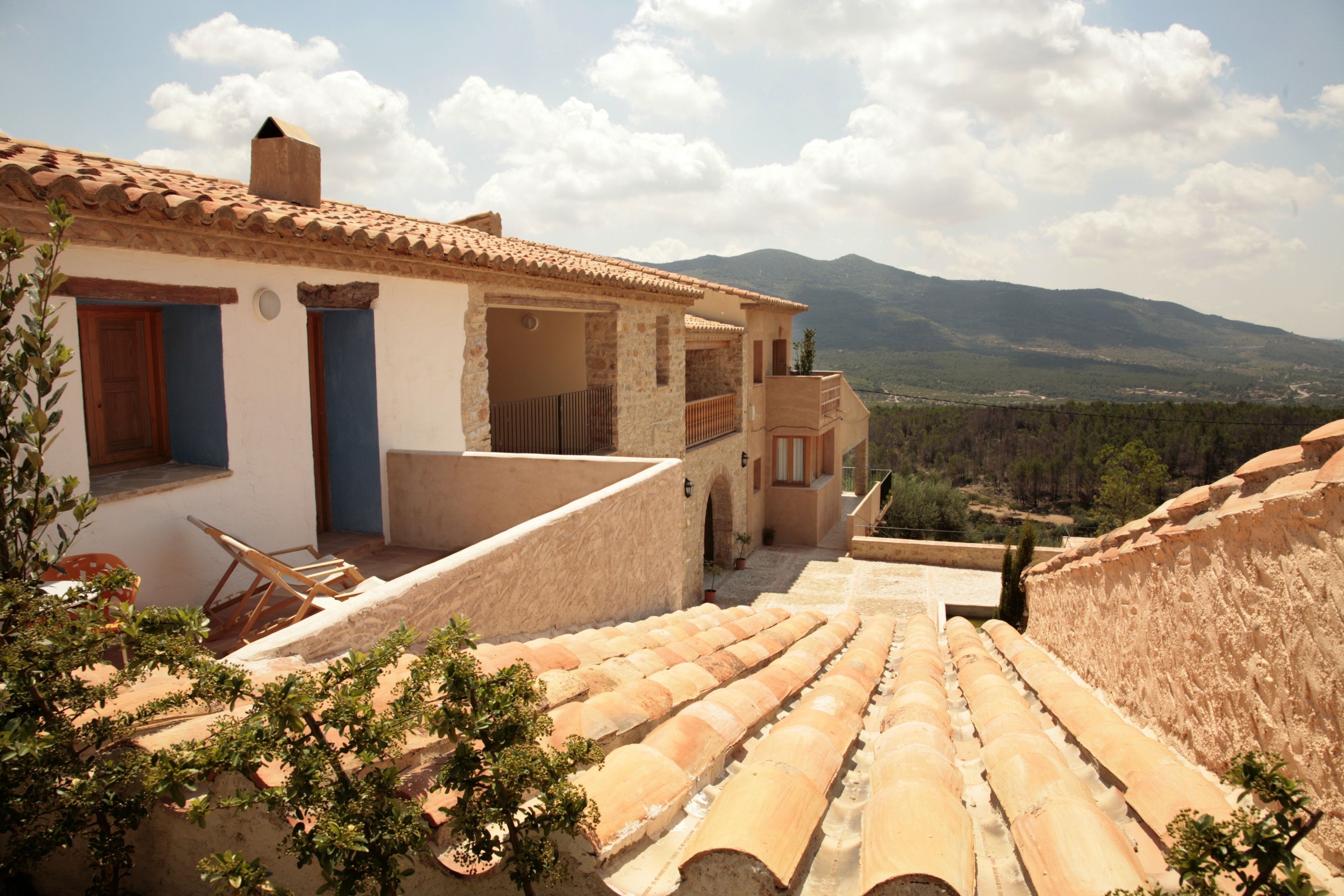 Suite sénior | Terraza o patio