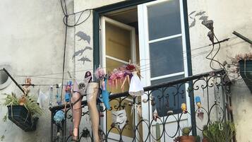 A balcony with various plants, a bicycle, and a sign reading "CARROCEL".