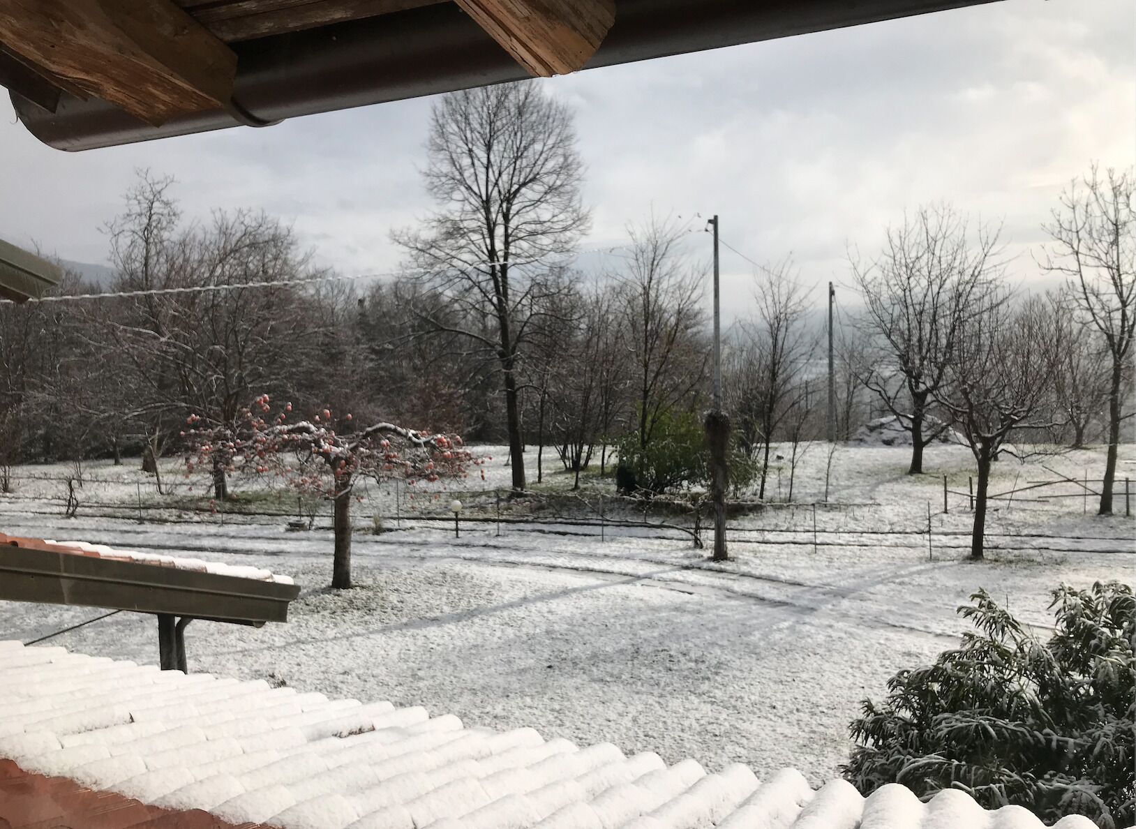 A snowy outdoor area with bare trees and a bench.