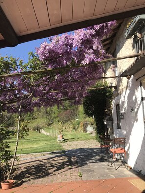 Terassi/patio