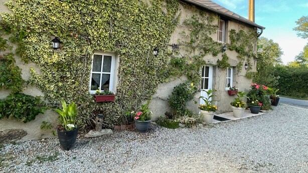 A building with ivy-covered walls, two windows with shutters, and potted plants around the entrance. - Charming independent cottage with enclosed garden, pets allowed (La Petite-Marche)
