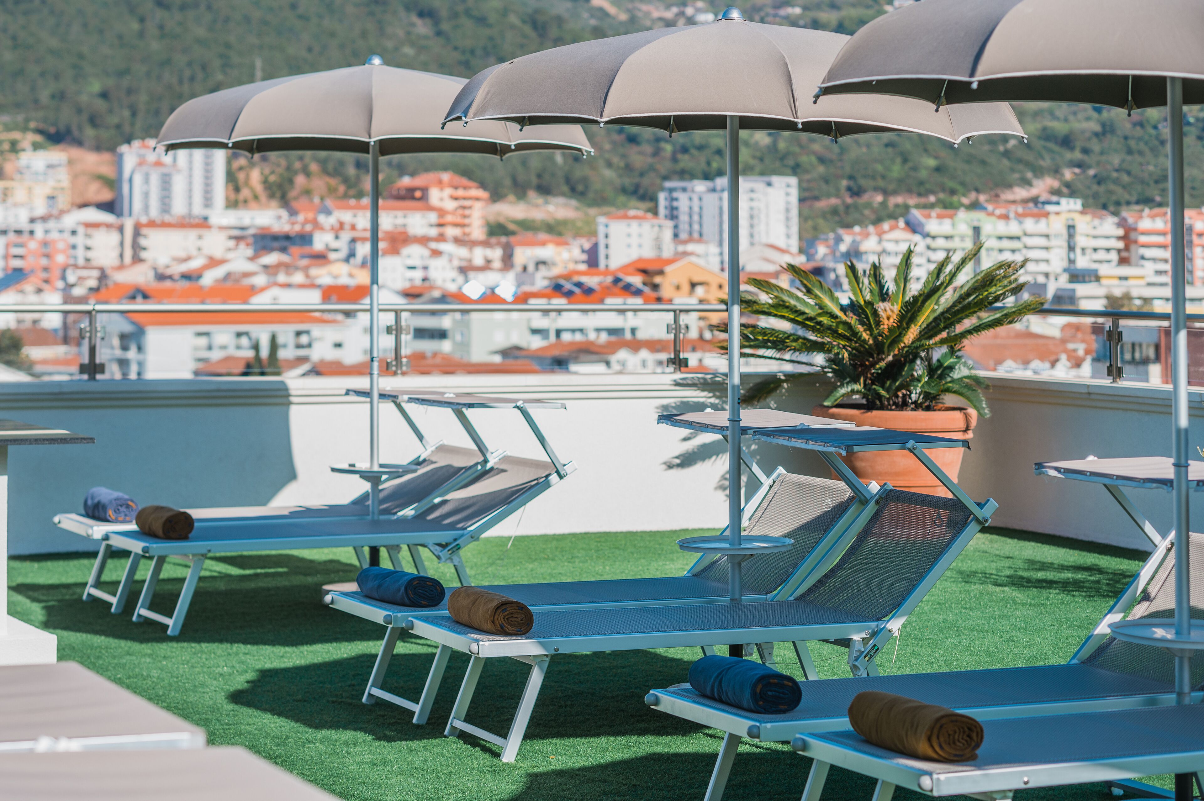 A rooftop terrace with sun loungers, umbrellas, and a potted plant.