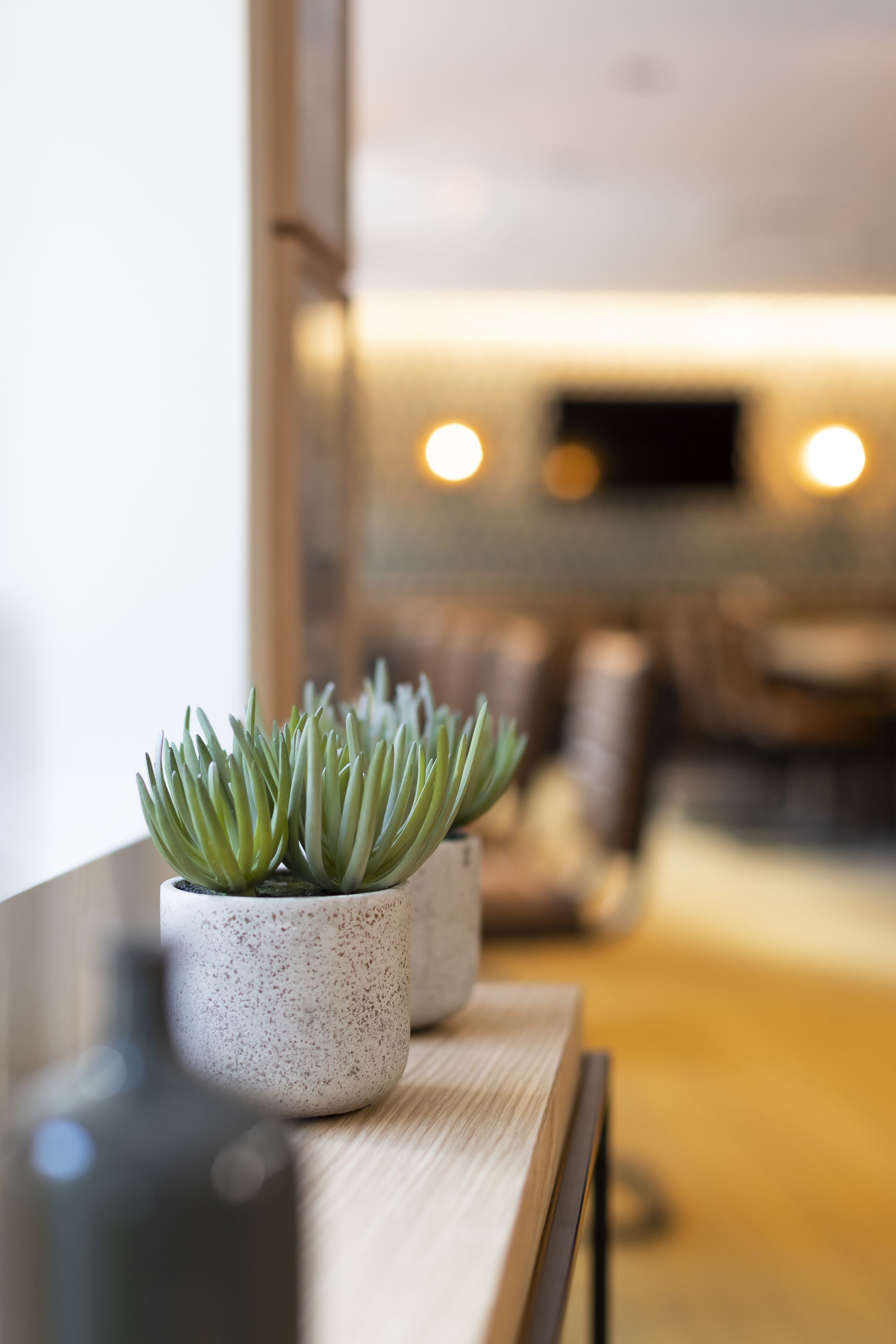 Interior moderno com uma mesa de madeira e duas plantas em vasos.