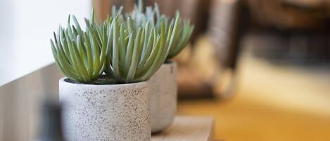 Interior moderno com uma mesa de madeira e duas plantas em vasos.