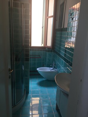 Een haardroger, toiletpapier