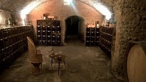Una cantina vinicola con pareti in mattoni, scaffali in legno per la conservazione del vino, una sedia in vimini e un tavolino con una bottiglia.
