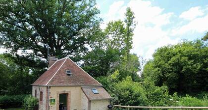 Old mill with terrace and pets allowed