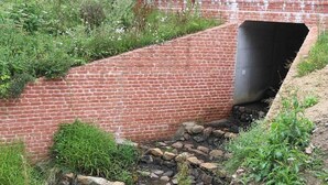 Une construction en briques avec une entrée en forme de tunnel, entourée de verdure et de rochers.