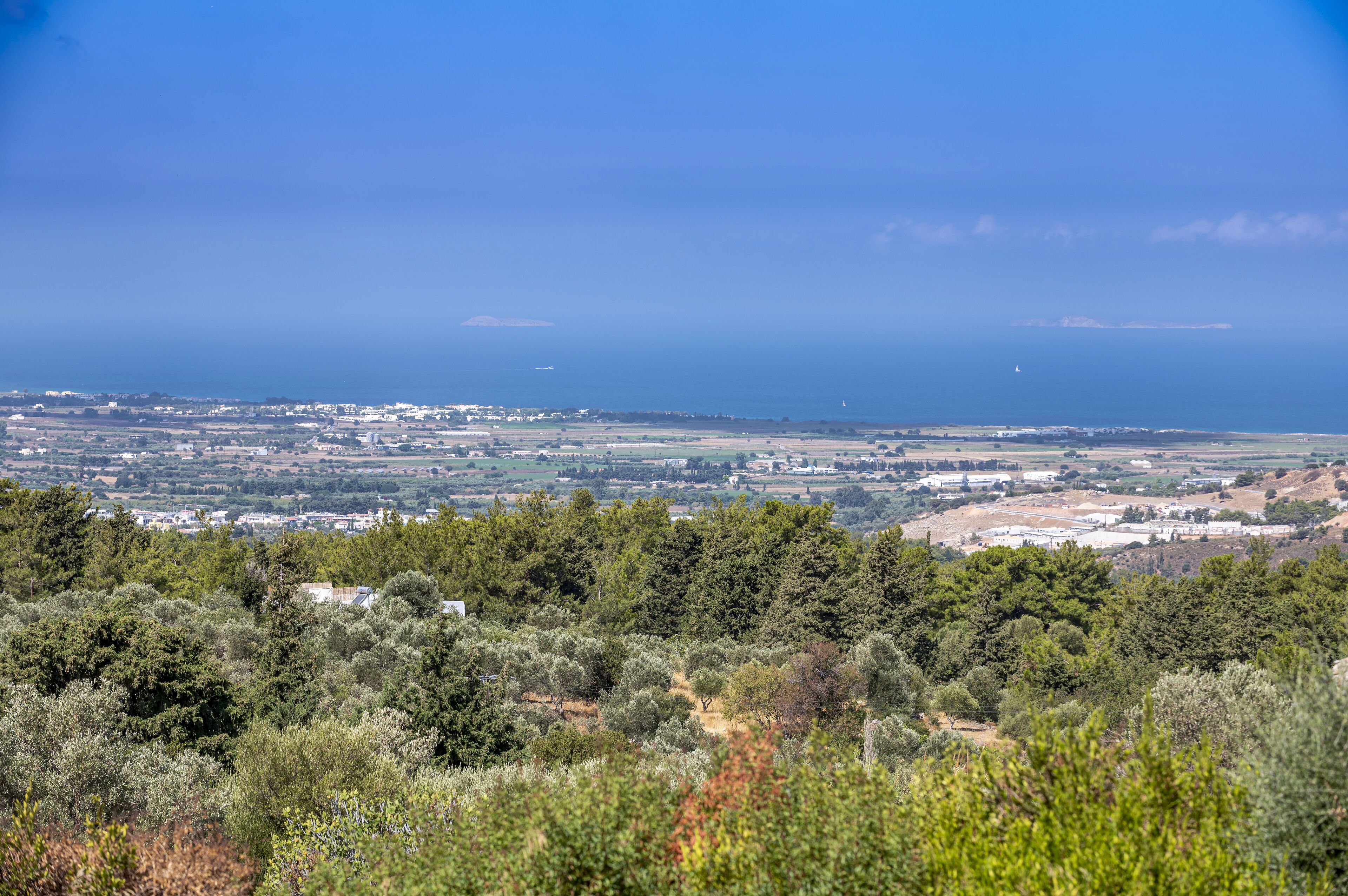 Paesaggio costiero con vegetazione lussureggiante in primo piano e vista su una cittadina e sulla costa in lontananza.