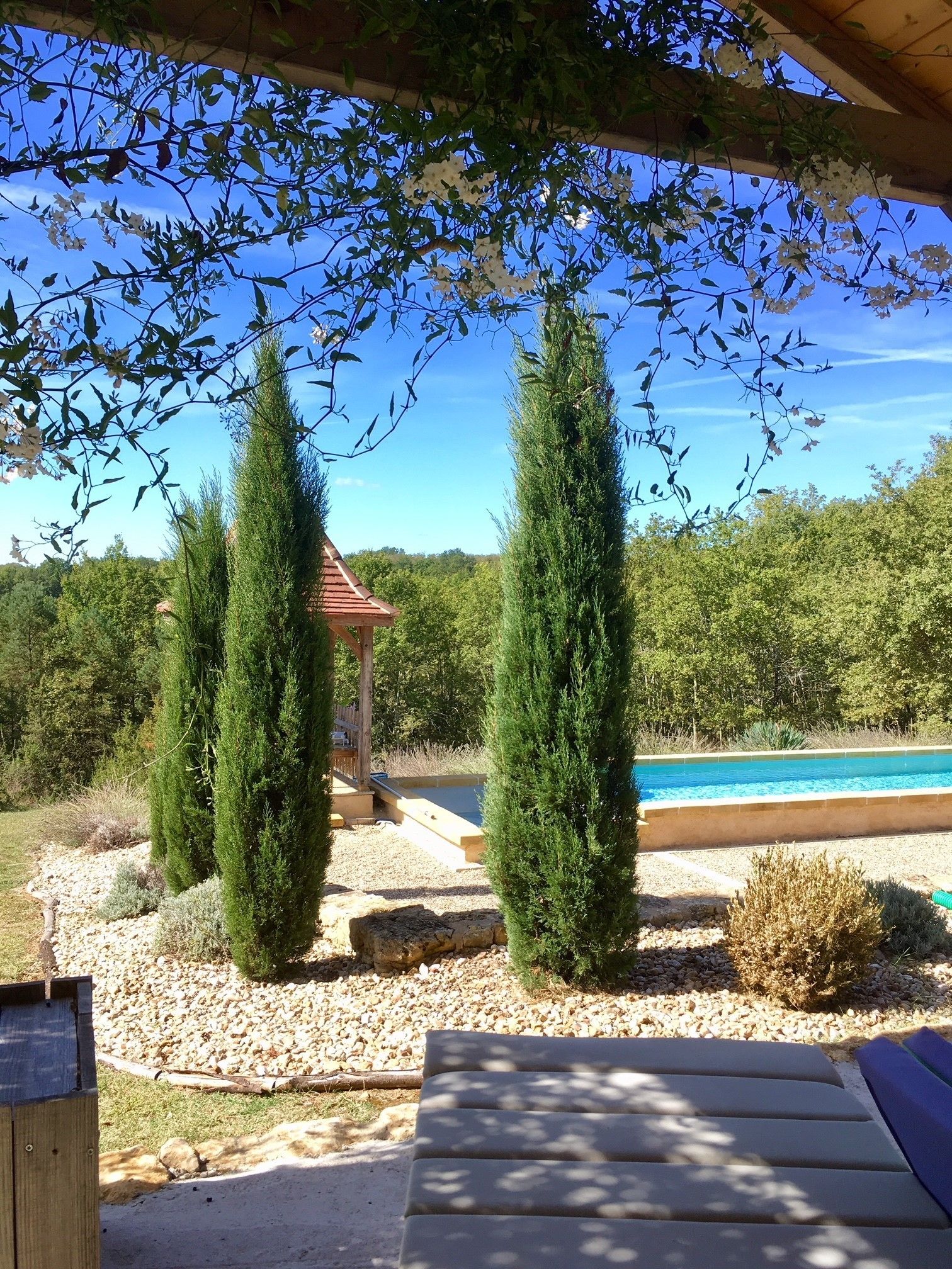 Un espace piscine agrémenté d’un belvédère, entouré de grands arbres à feuilles persistantes et surplombé d’un ciel bleu clair.