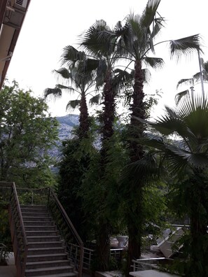 Garden - Kromer Garden Hotel - All Inclusive (Kemer)