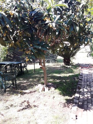 Exterior - Kromer Garden Hotel - All Inclusive (Kemer)