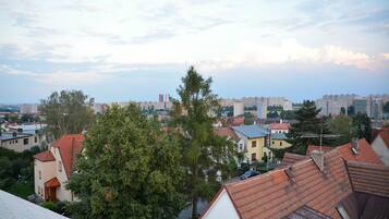 A residential area with houses, trees, and a distant city skyline.