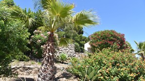 Ein Garten mit einer Palme, verschiedenen blühenden Pflanzen und einer Steinmauer.