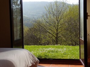 Double Room, Garden View | View from room